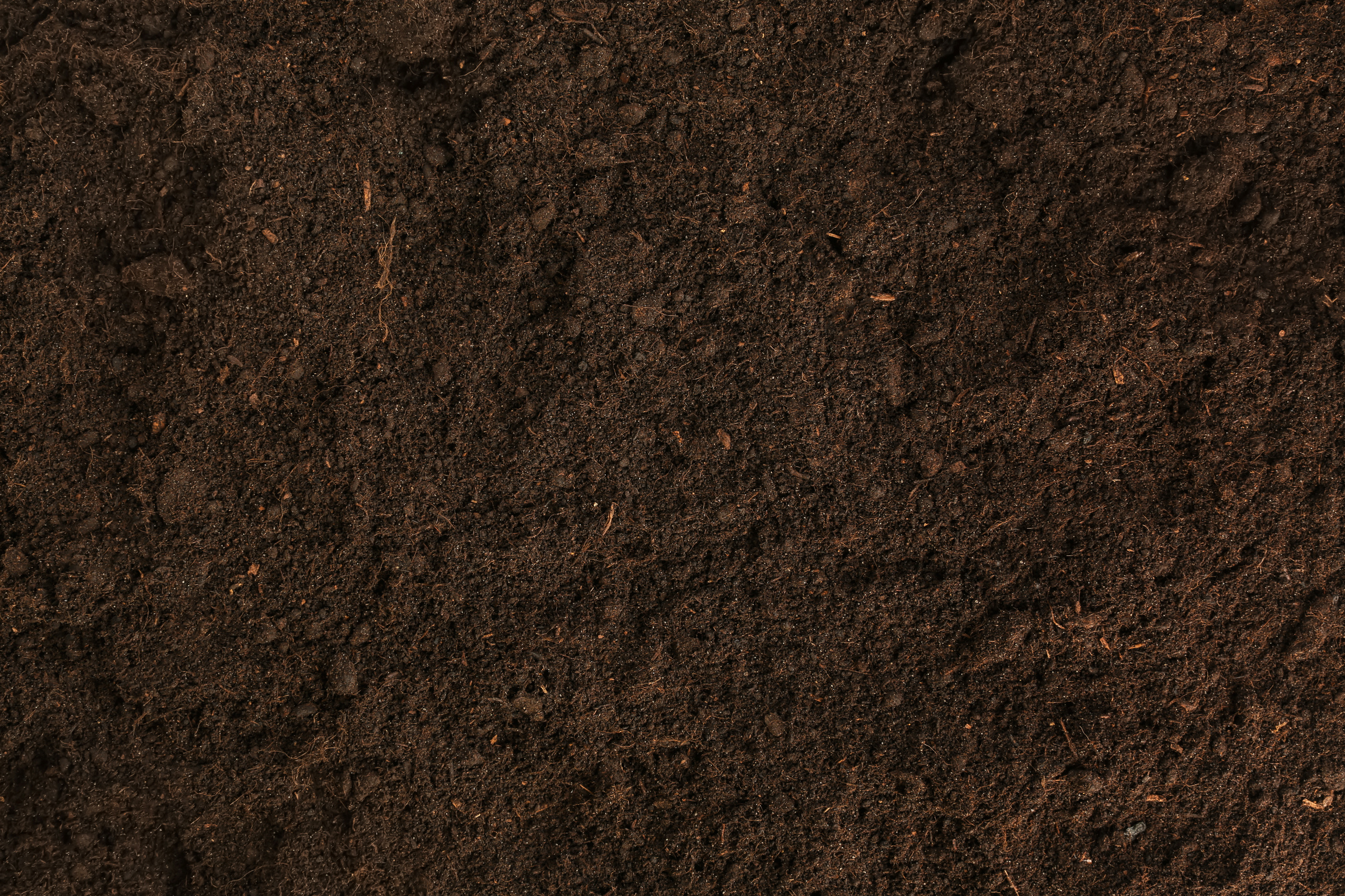 Soil Texture as Background